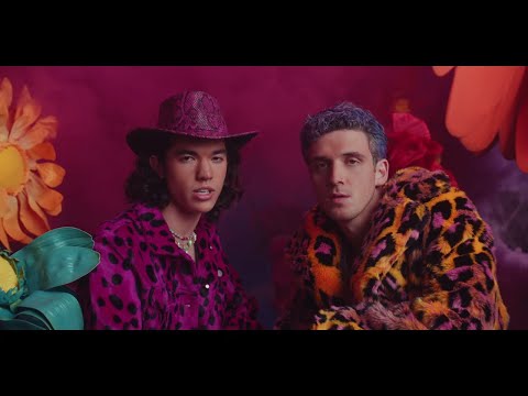 Lauv &amp; Conan Gray - Fake [Official Music Video]